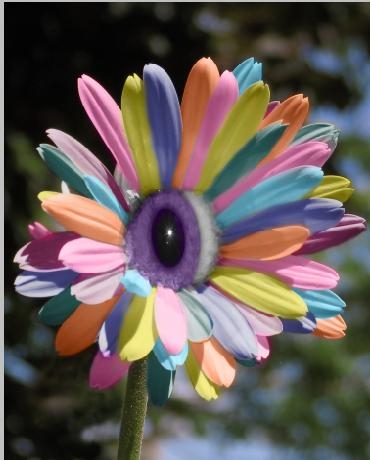 Creation of Eye Bloom: Step 6